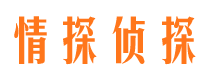 叶城市调查公司